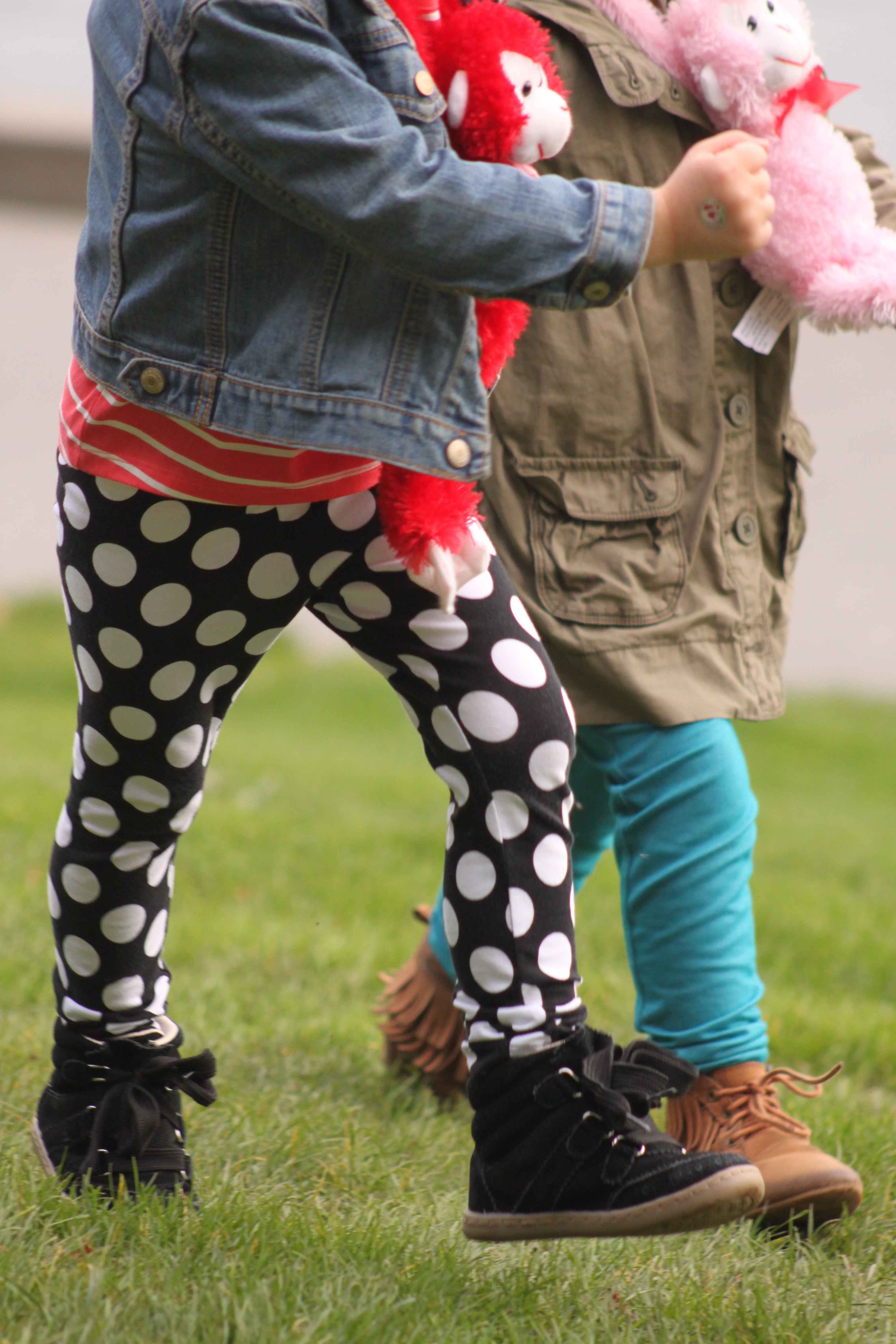 Stanley Park Train Christmas Pictures Wallpapers